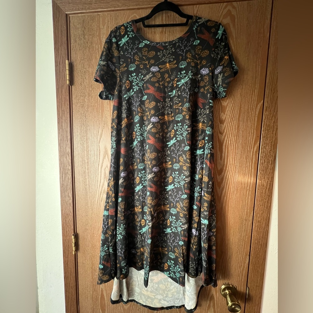 LuLaRoe Carly dress